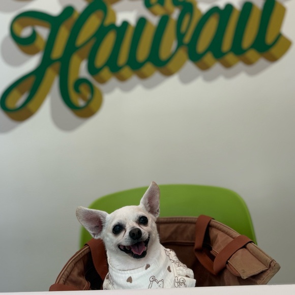 Meet your Posher, Kaman - Picture 1 of 2